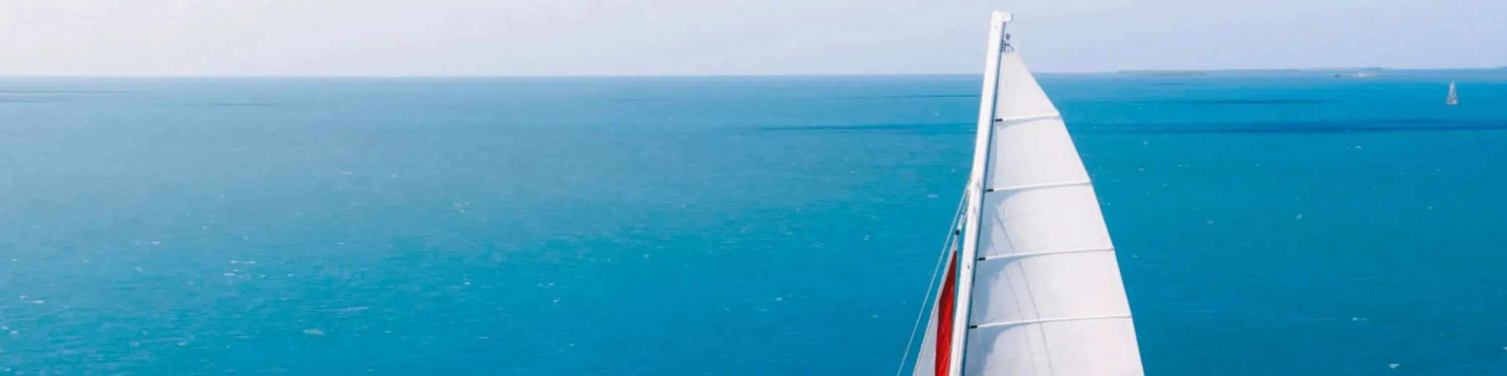 在早晨的浮潜之旅中享用美味的早餐和无限量的含羞草鸡尾酒