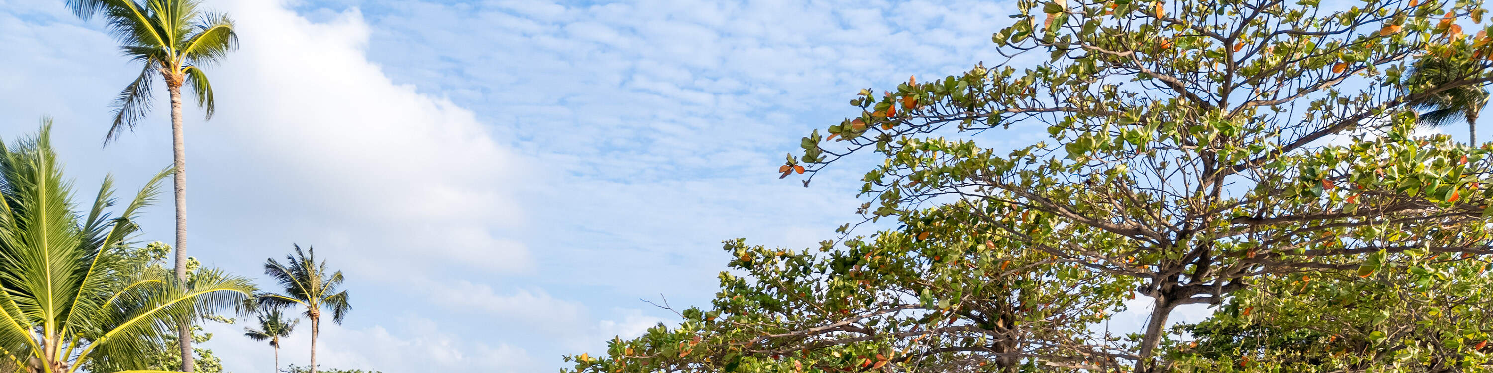 Tiket Masuk Harian dengan Kredit Makanan di SAii Beach Club, Vila SAii Koh Samui