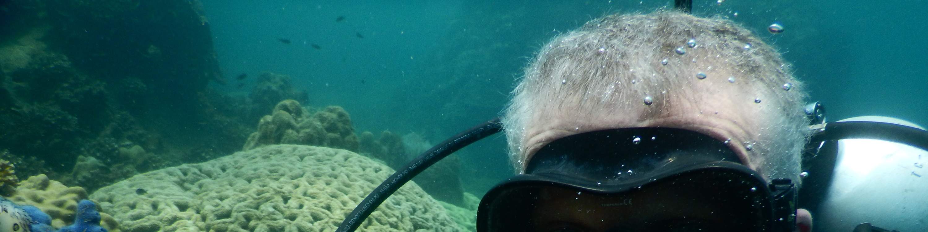 フーコック島南部にあるサンゴ礁