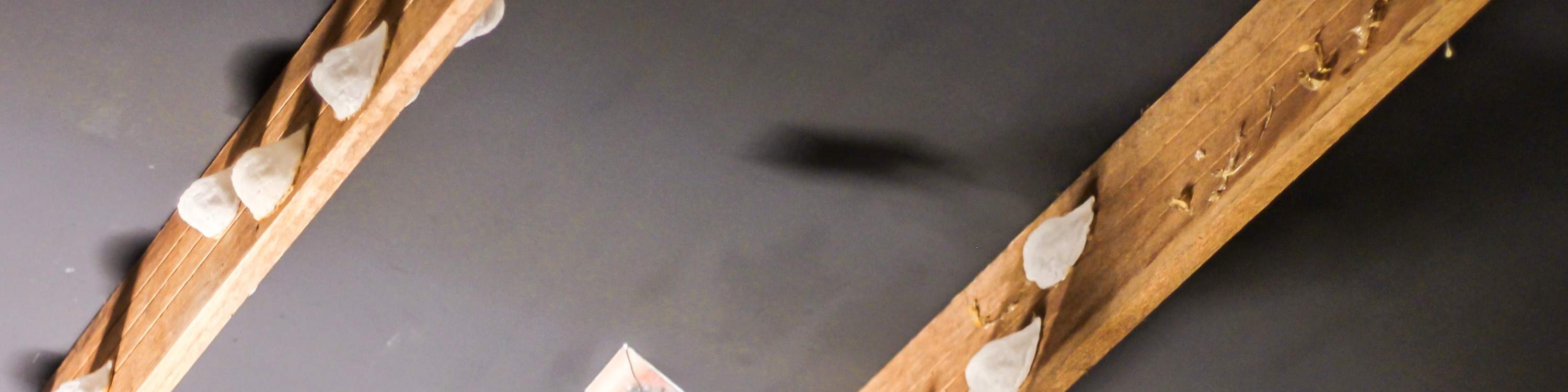 Swiftlet Museum & Bird Nest Factory Experience Tour ( Klook Malaysia