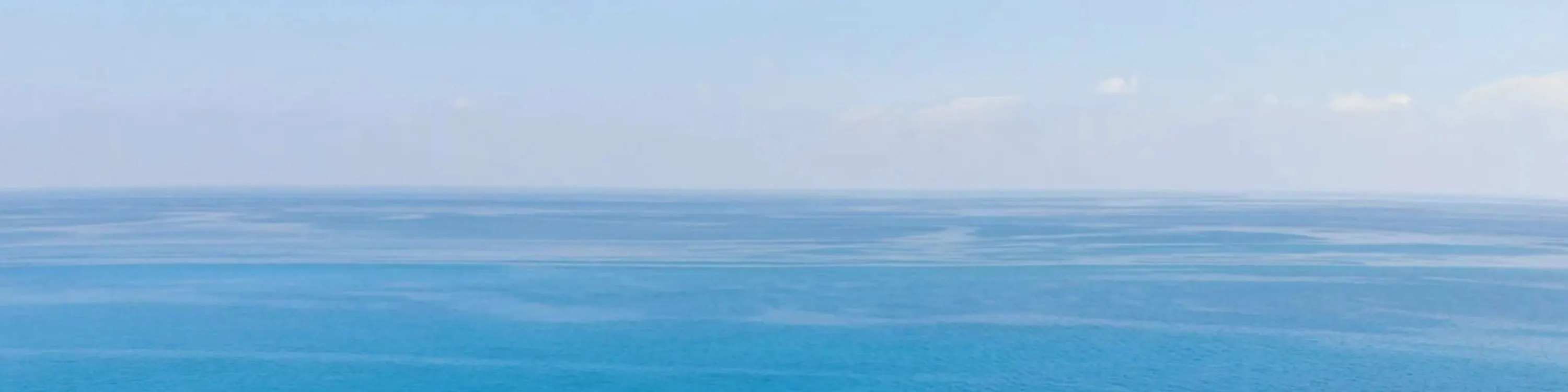 乘坐宽敞的双体船，可以欣赏到壮丽的海景，并享受船上设施。=