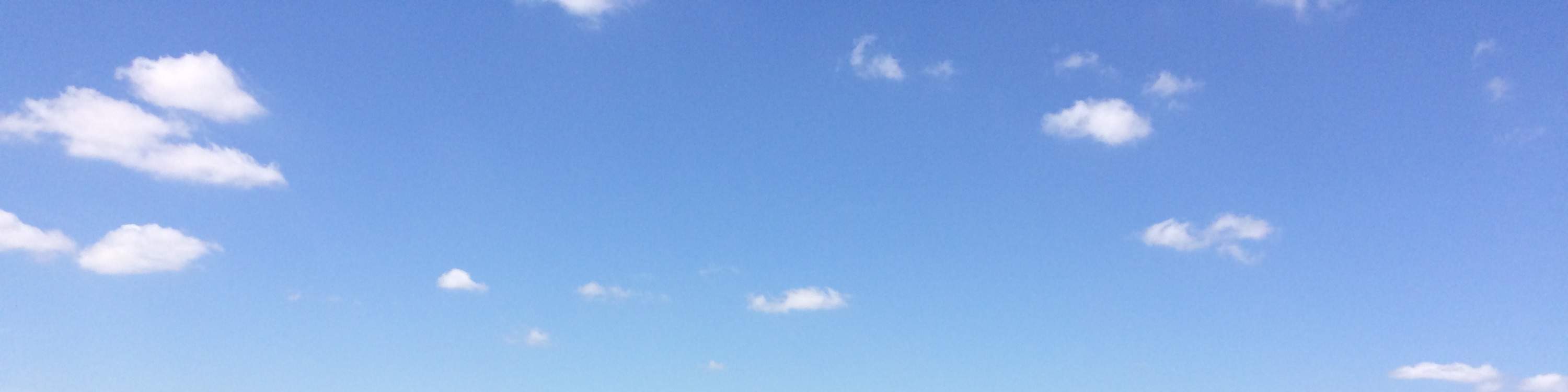 ประสบการณ์นั่งเรือแอร์โบ๊ทในเอเวอร์เกลดส์และชมจระเข้