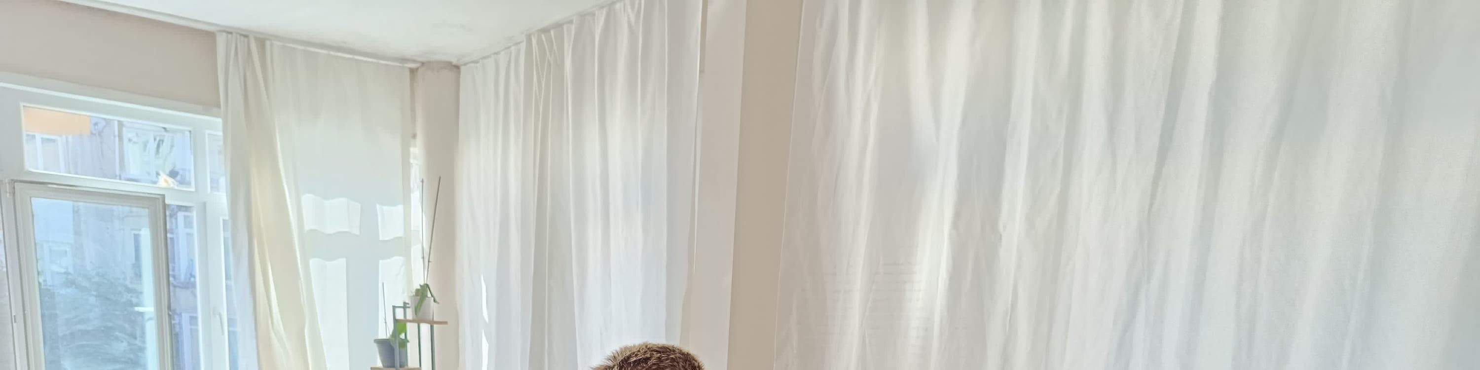 Kelas Memasak Makanan Vegan Turki dengan Keluarga Tempatan