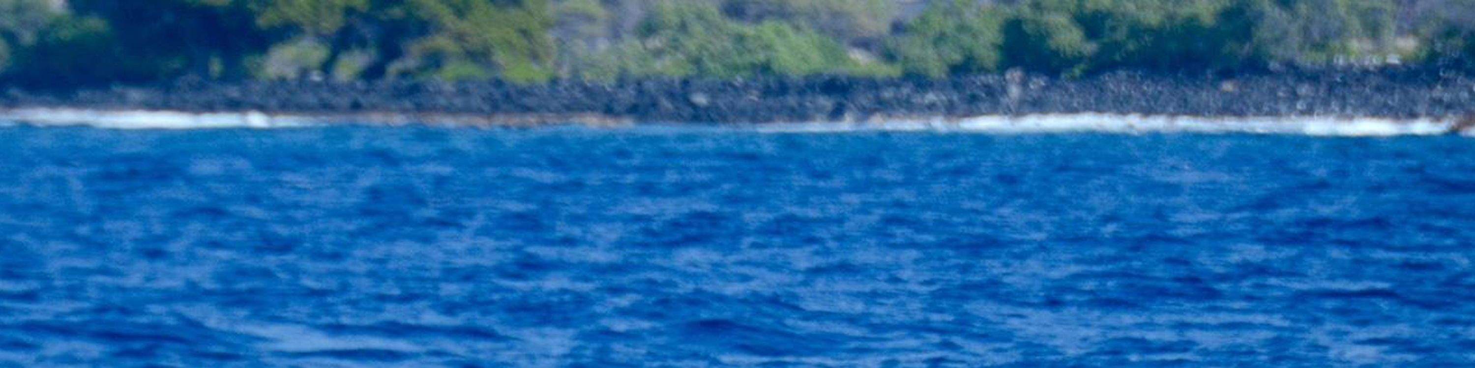 Majestic whale tail splashing as a humpback dives during whale season off Kona
