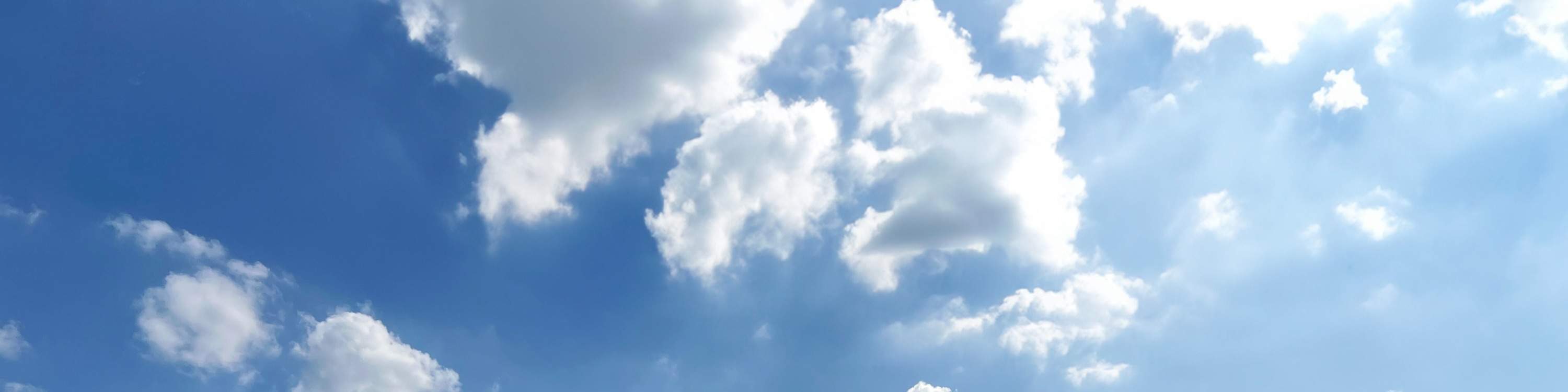 嘉義：歸樸森活豪華露營