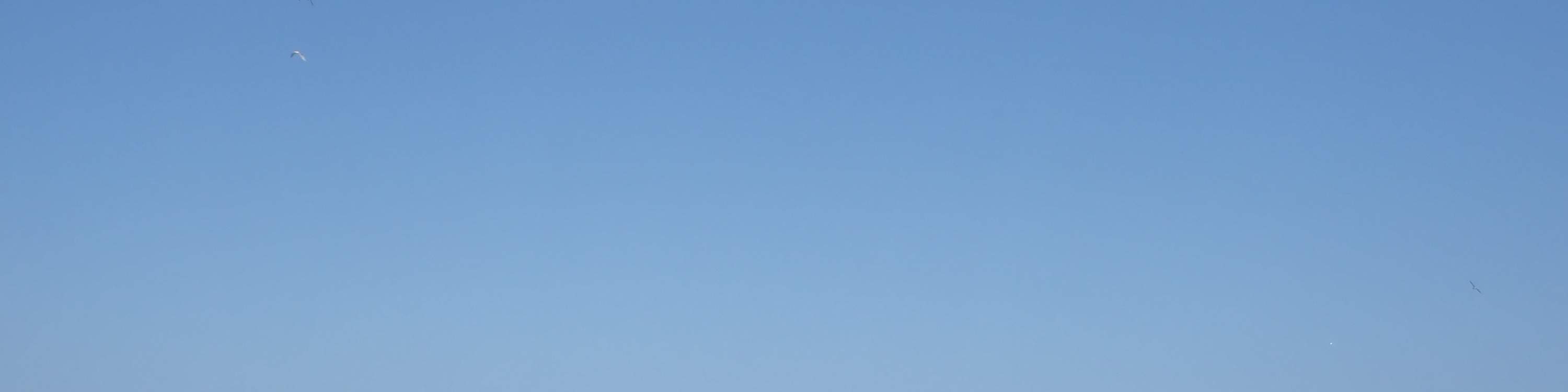 Surf per principianti