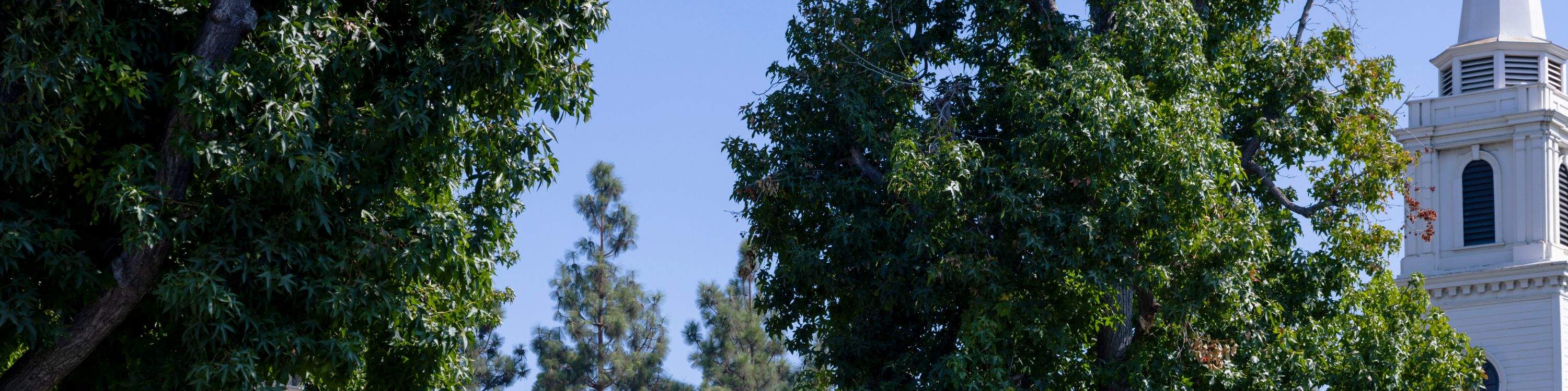 Прогуляйтесь по улицам Старз Холлоу и Роузвуда во время тура по задней площадке Warner Bros.