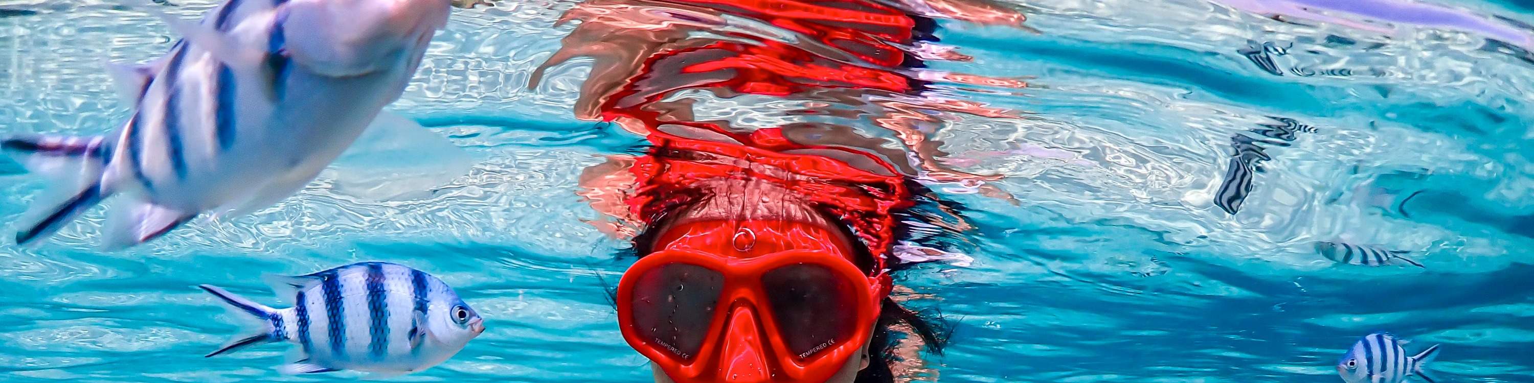 Esperienza all'Isola di Nemo con Foto con Drone e Pranzo