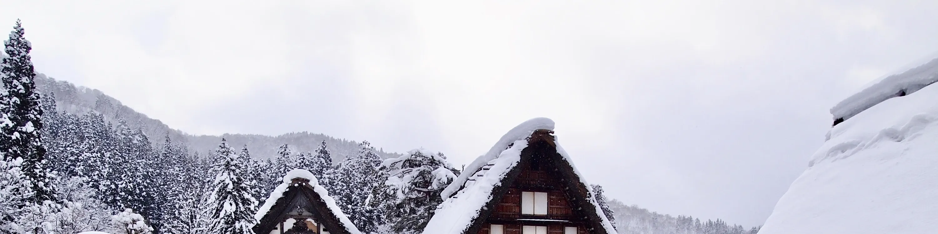 风景