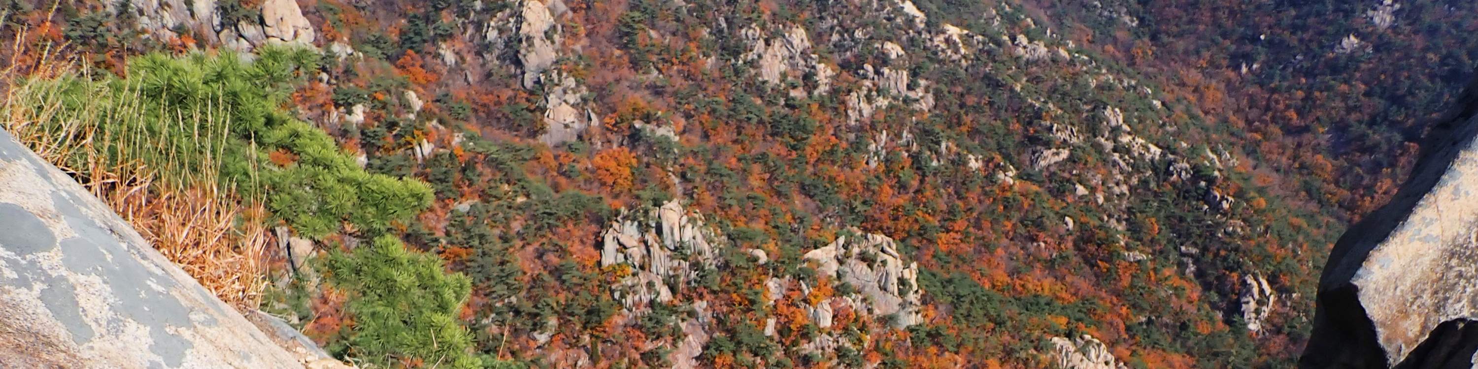 The Rona Ridge Real Rock Climbing Tour on a Mountain Ridge next to Seoul - Klook