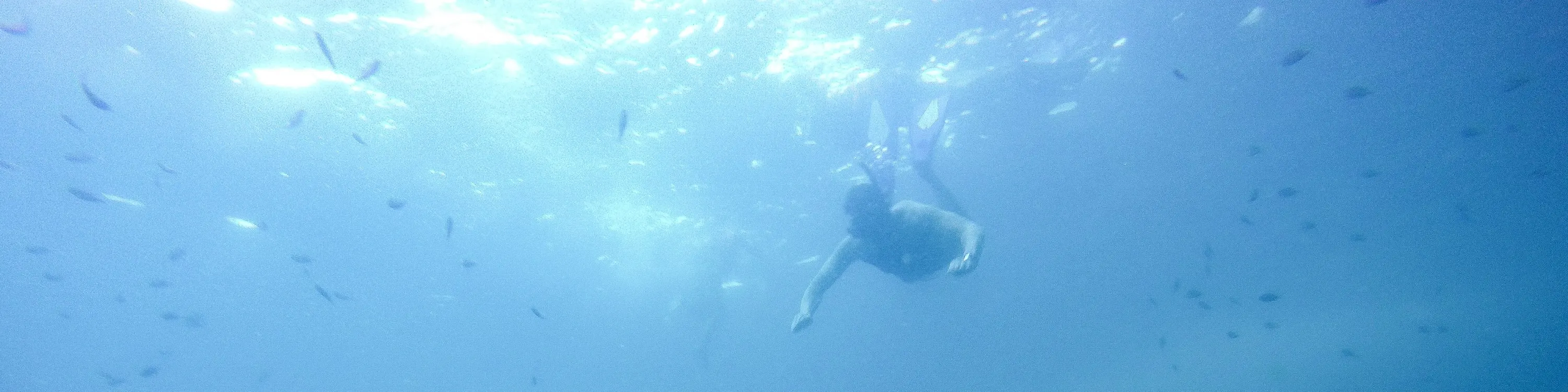 皮皮岛探索水肺潜水课程