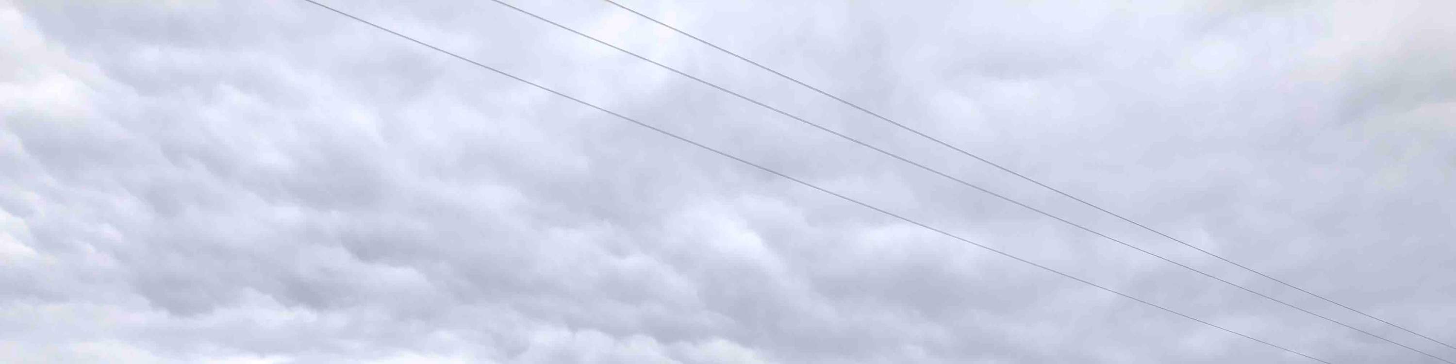 Прекрасные виды на виноградники