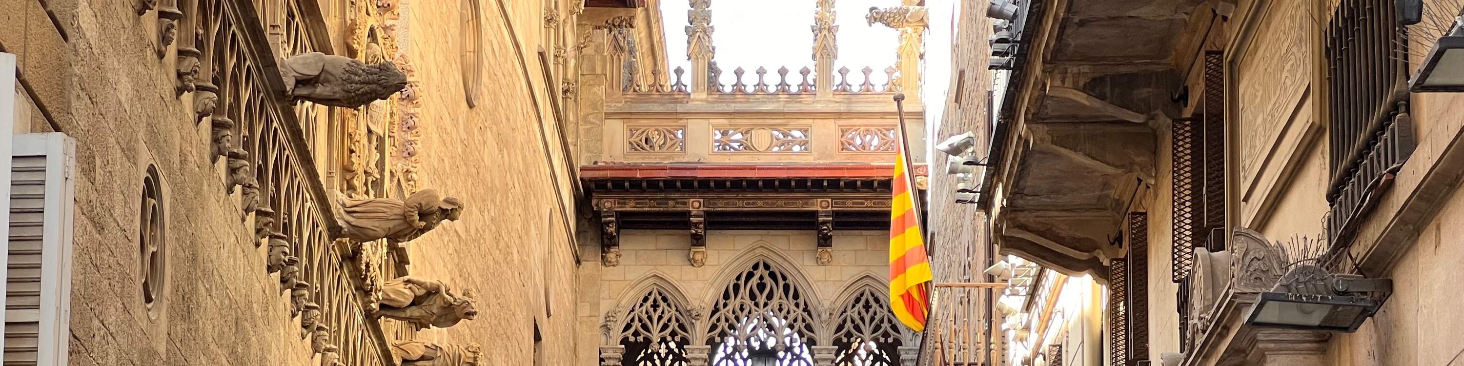 Gothic Quarter Walking Tour in Barcelona - Klook