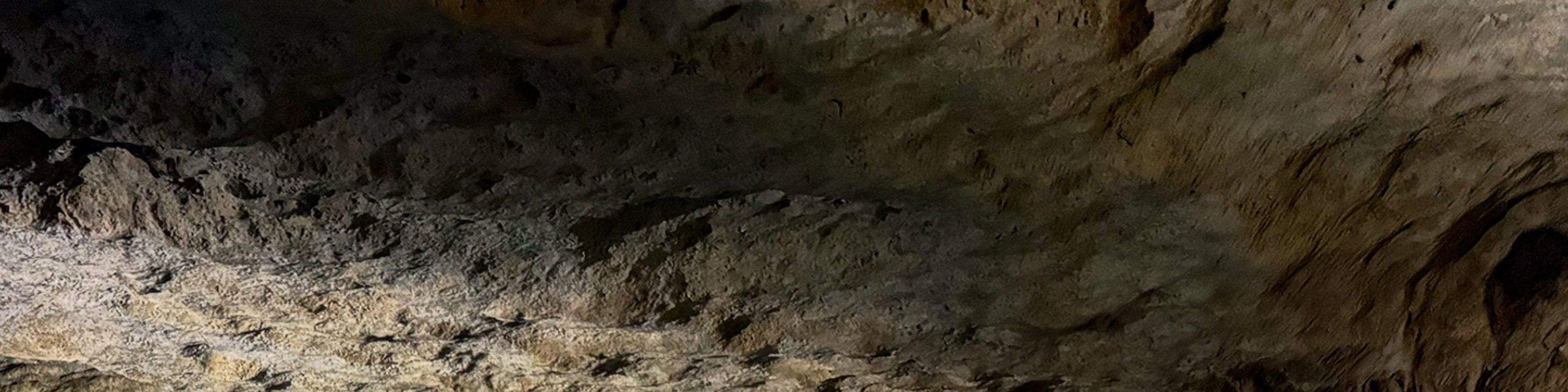 Тур по руинам майя Тулум и Коба с плаванием в сеноте и сноркелингом в Мексике