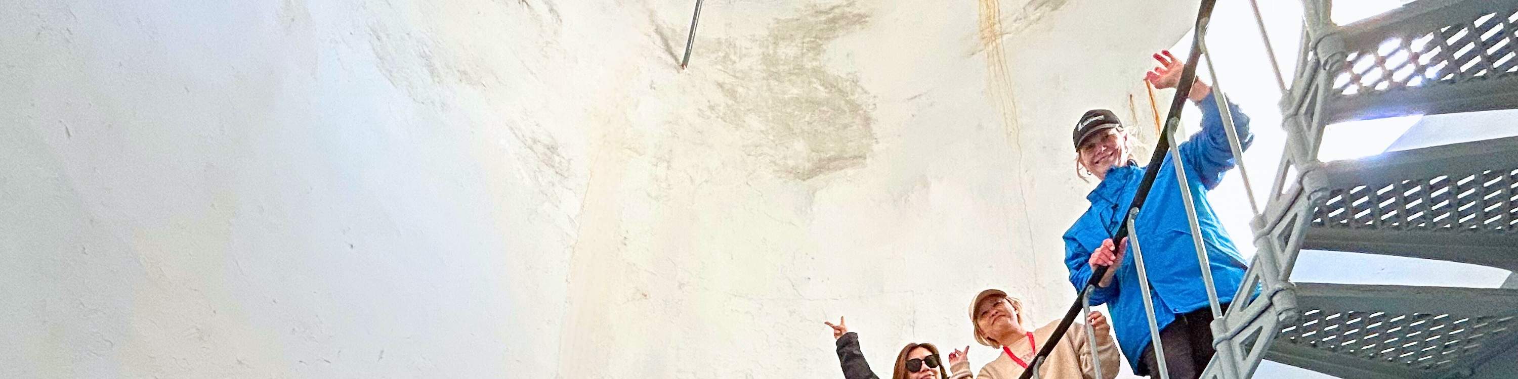 Tour del Faro di Cape Bruny - Bruny Island