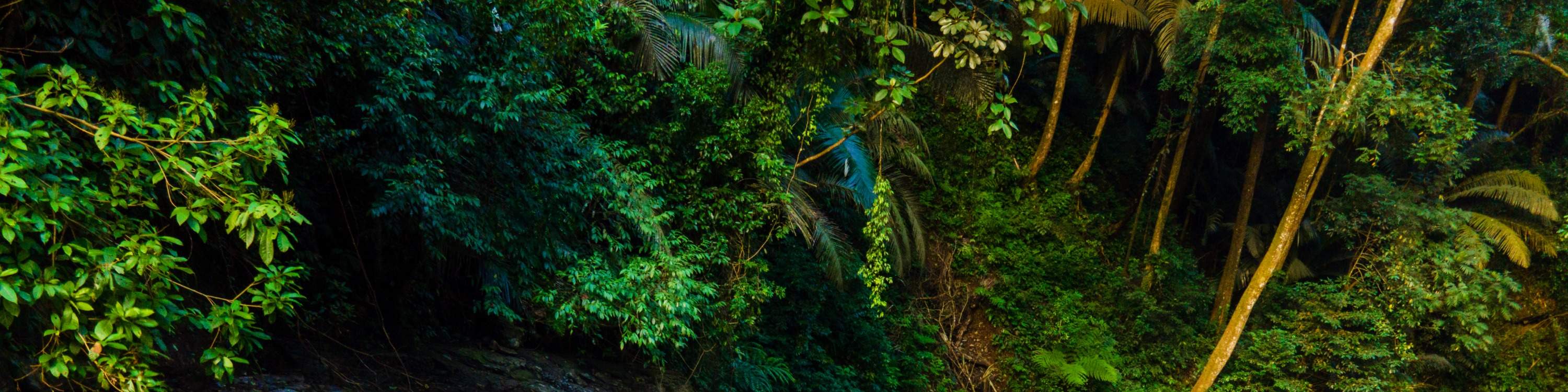 Присоединяйтесь к однодневной экскурсии Explore & Conquer Duong Cam Waterfall в Куангбинь