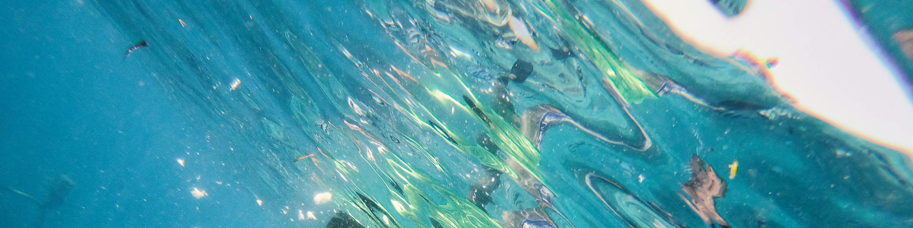 Turtle Island, Glass Bottom Boat, Mangrove Cruise by JTB Indonesia