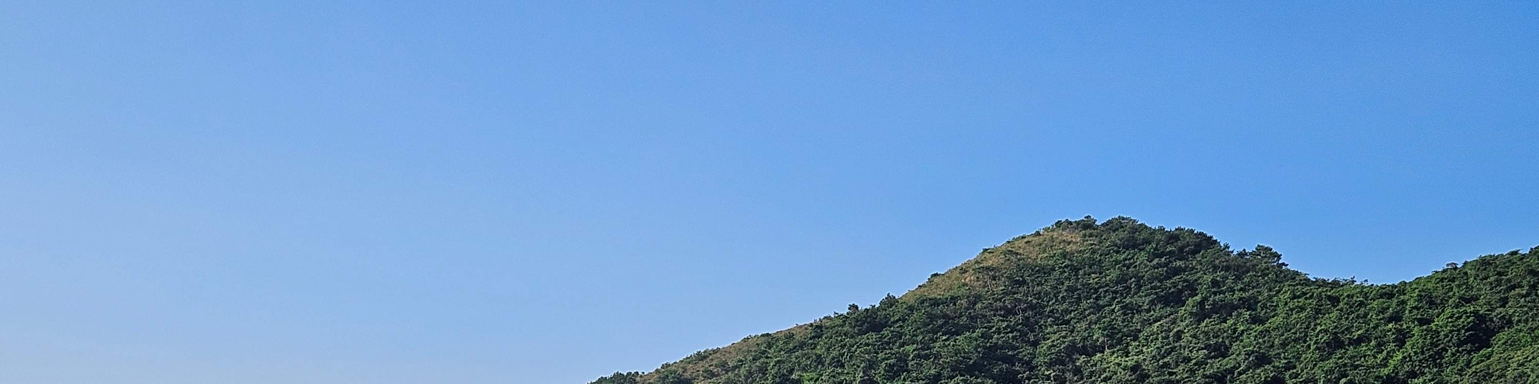 Tiket bot bersiar-siar Tai O