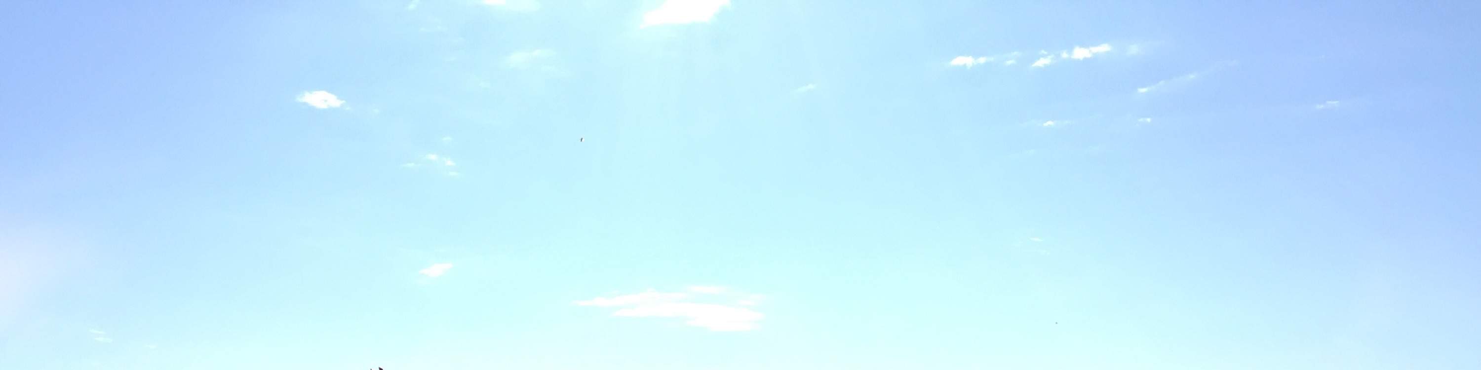 Melbourne: Tour Thung lũng Yarra thưởng thức rượu vang, gin/bia, phô mai & sô cô la