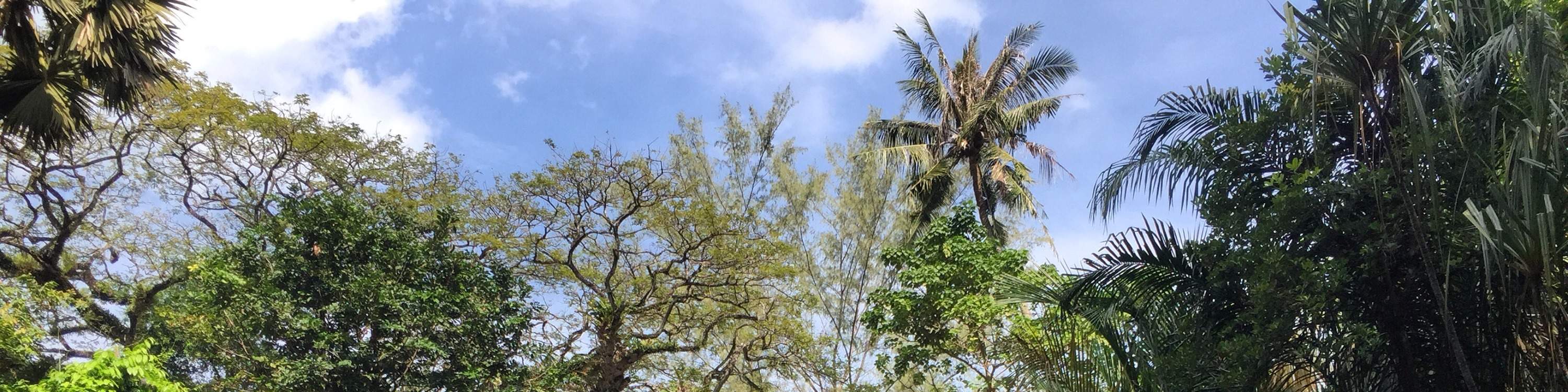 Jardin d'épices tropicales de Penang