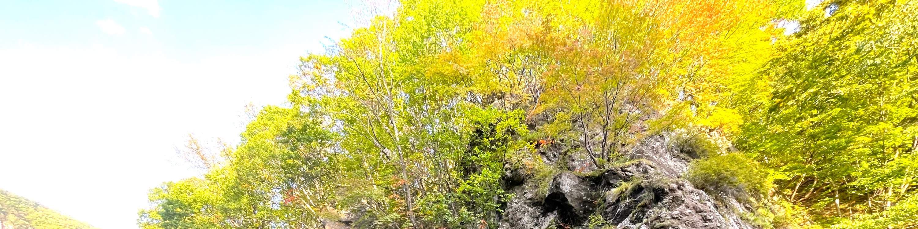 pengalaman-sup-apresiasi-daun-musim-gugur-jozankei-hokkaido-klook