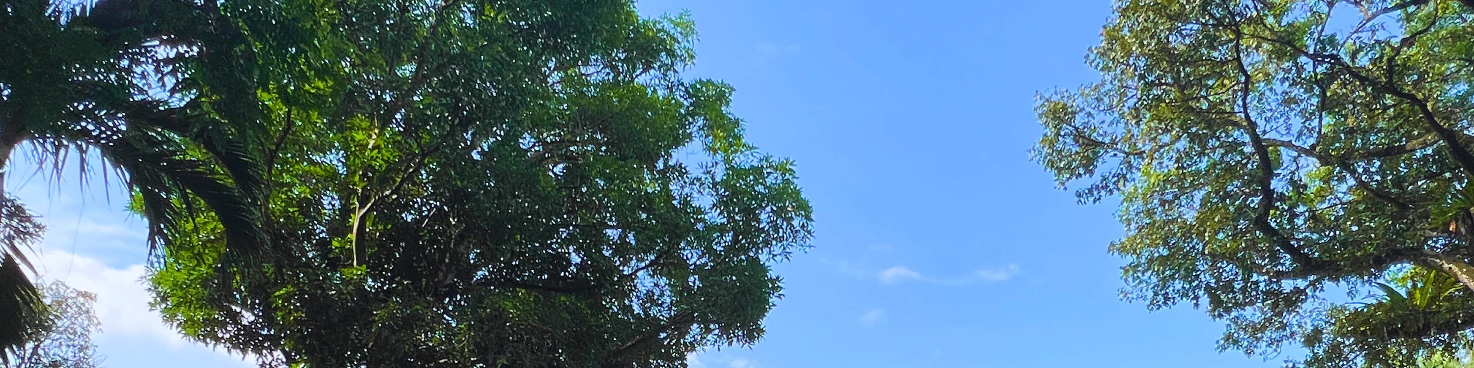 Vé Khu Vui Chơi Houbii Spot Rope Course ở Sở Thú