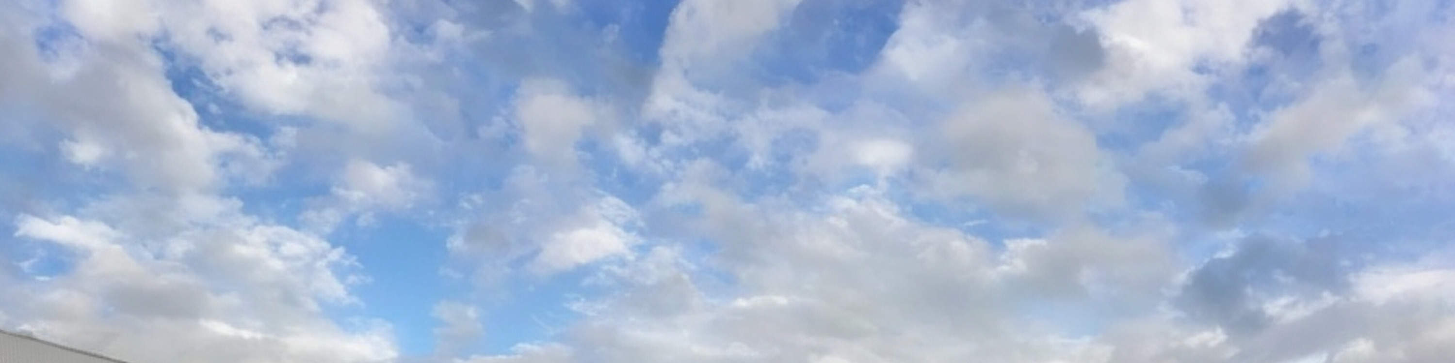 Warner Bros. Studio Tour London – Markenbusse für Warner Bros. Studio Tours London