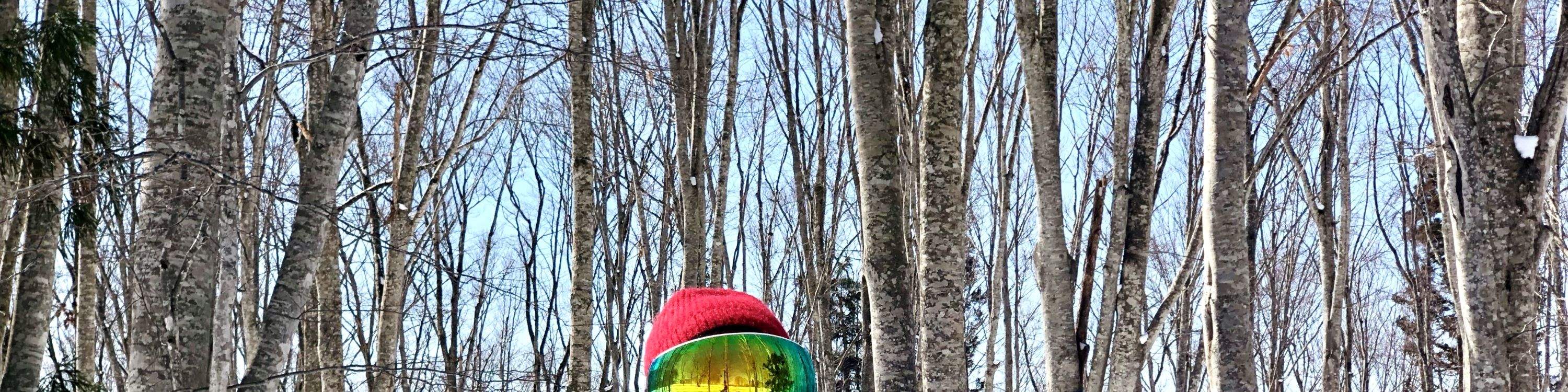 軽井沢プリンスホテルスキー場の英語と中国語のプライベートスノーボード/スキーインストラクター