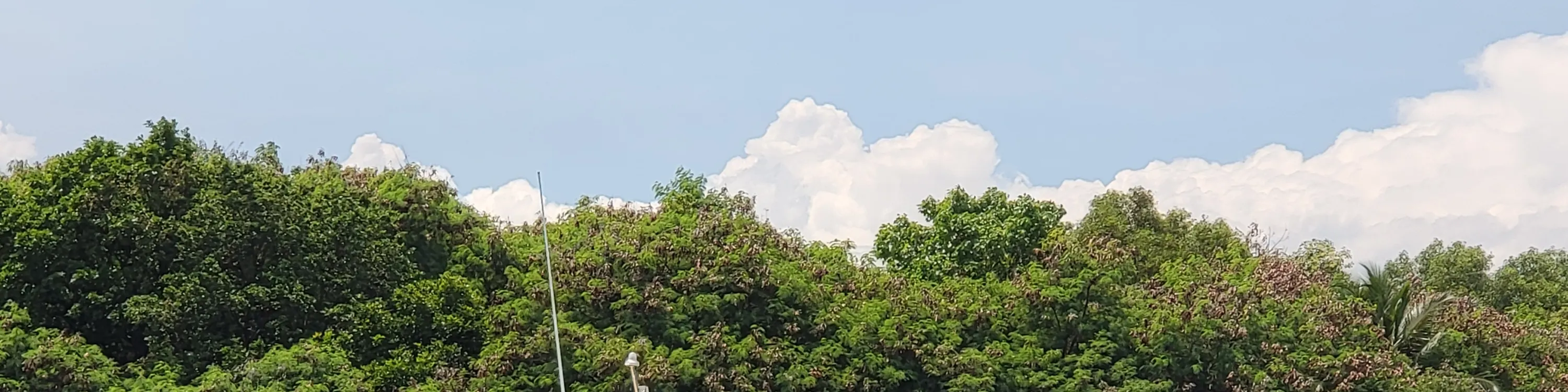 新加坡白帆私人游艇租赁
