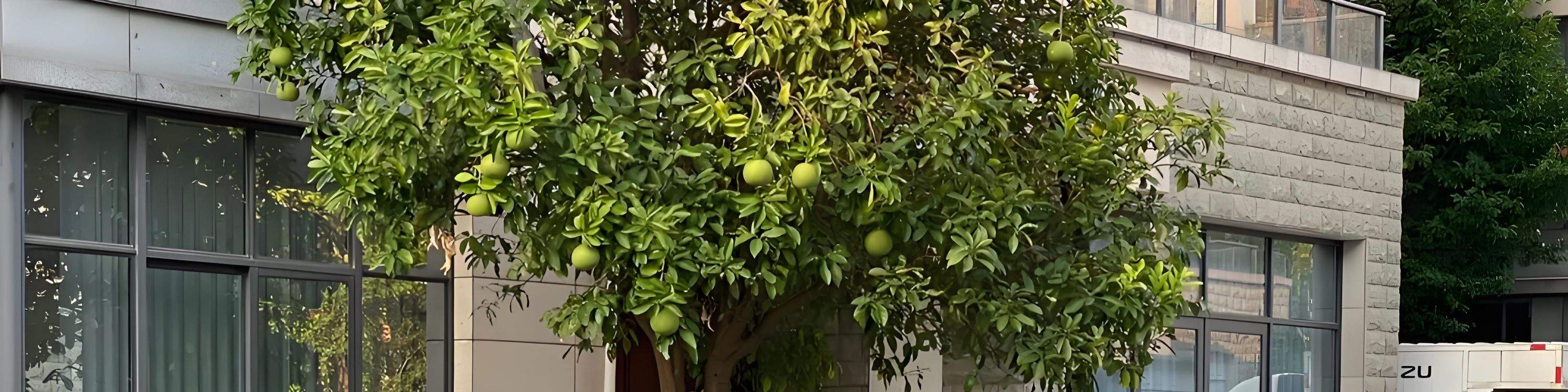 Lawatan sehari sewa kereta persendirian pergi balik Xi'an pusat bandar - Lantian Shuilu Nunnery (lokasi penggambaran Black Myth: Wukong)