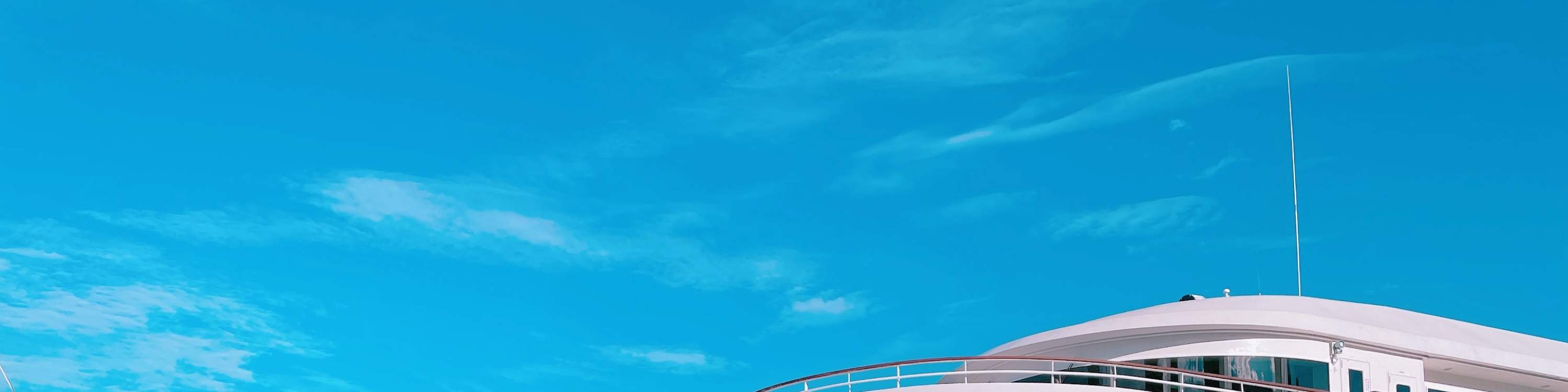 Crociera di conto alla rovescia 2024-2025 (Tokyo/offerta di Symphony Cruise)