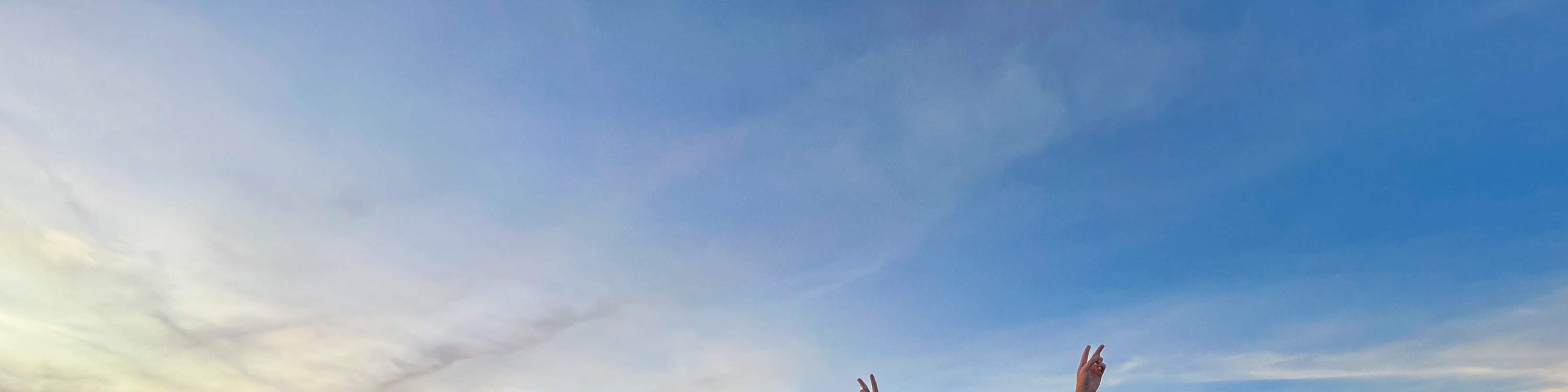 免费优惠券
