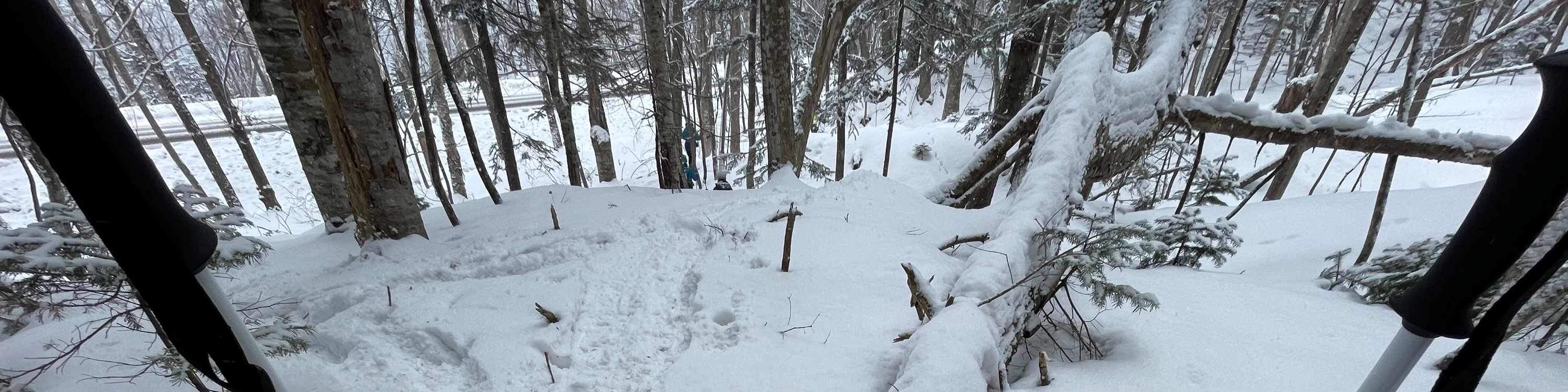 Otaru Forest Snowshoe (with transportation)
