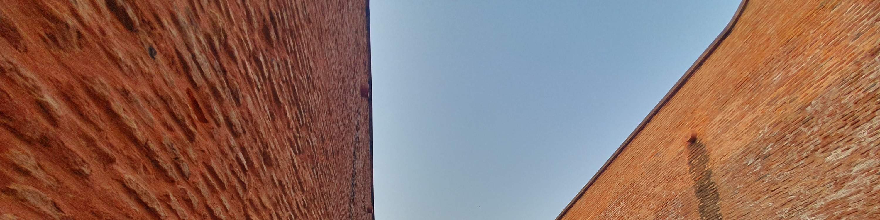 From Delhi: Same Day Taj Mahal & Agra Tour with Private Photographer