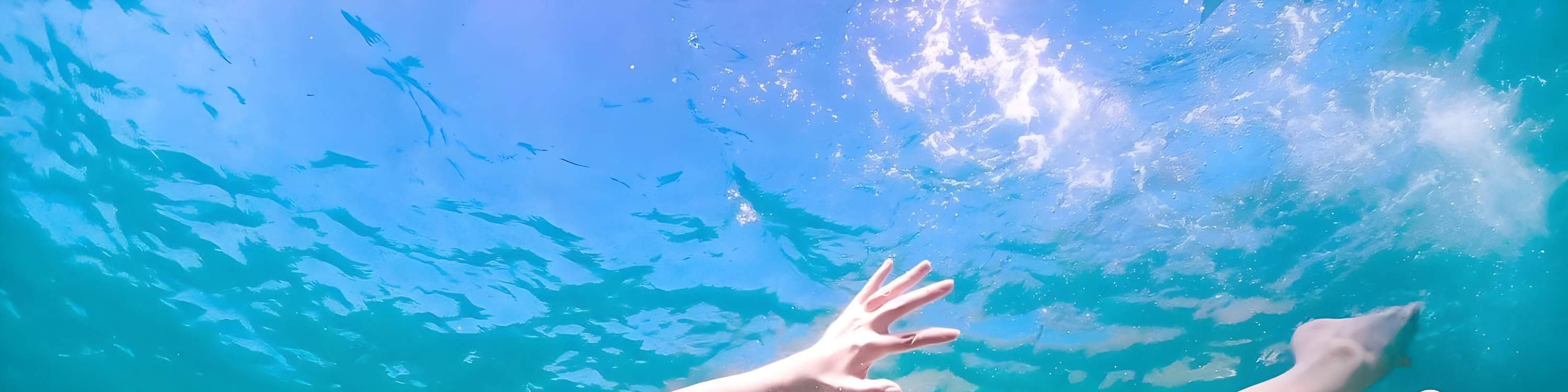 jelajahi kehidupan laut pattaya