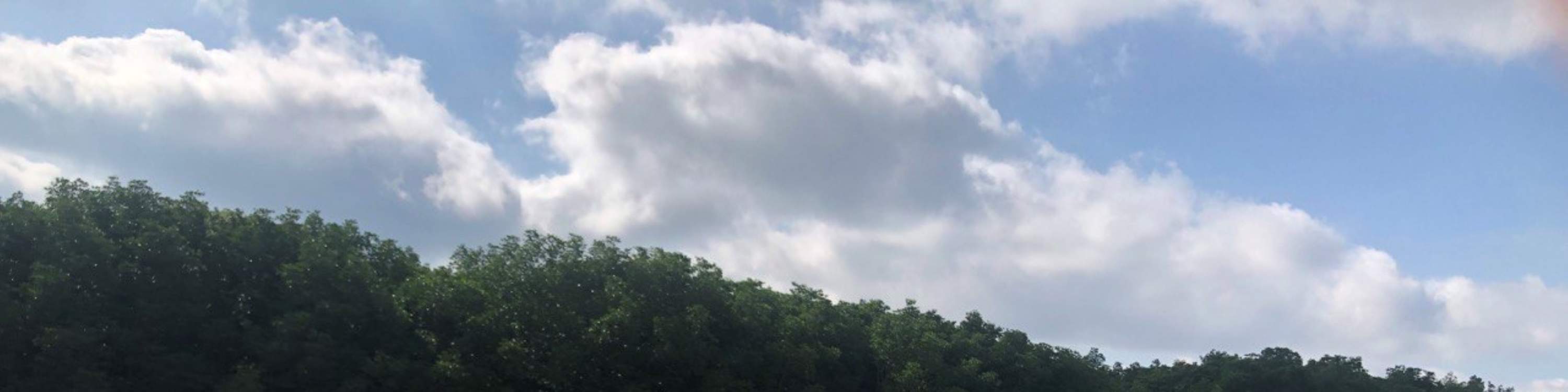 Aventura en kayak por el río con traslado dentro de Desaru - Johor