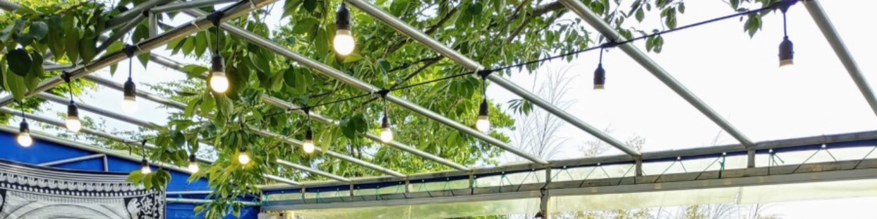 Dîner de fruits de mer avec vue sur l'océan Haeundae. Cette option n'inclut pas la visite du marché.