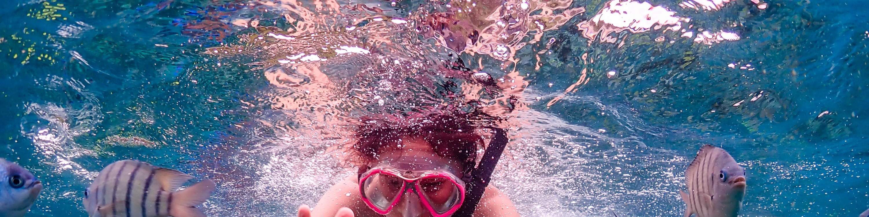 Esperienza all'Isola di Nemo con Foto con Drone e Pranzo