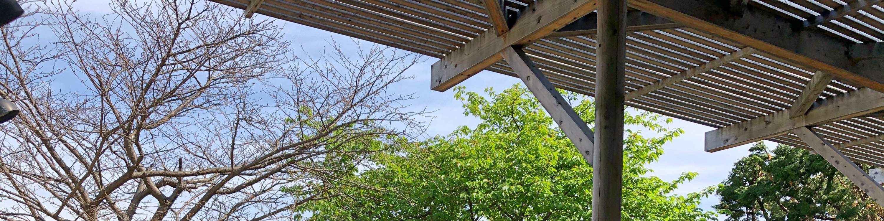 Выгодный билет на полуостров Миура