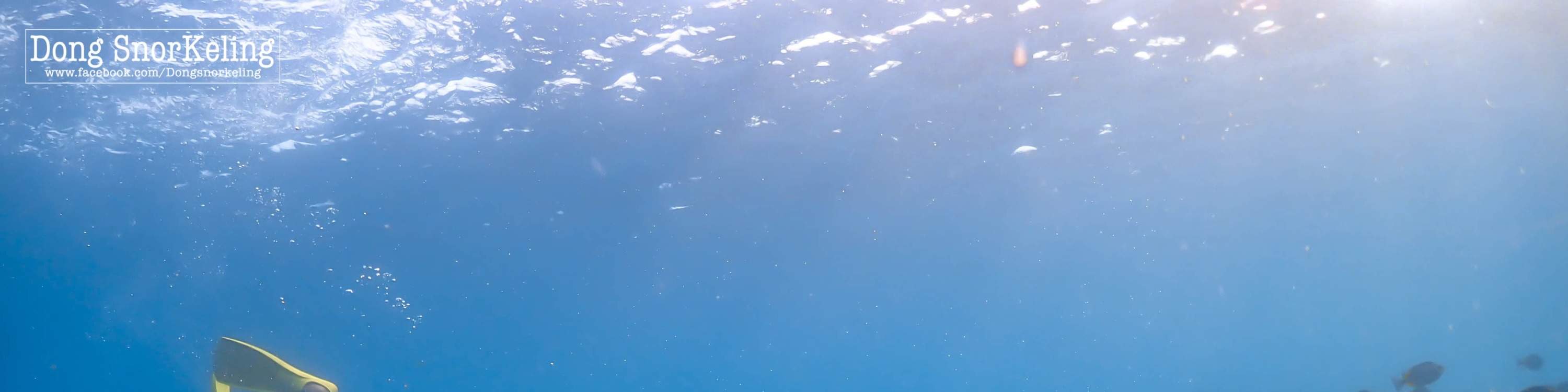 Esperienza all'Isola di Nemo con Foto con Drone e Pranzo