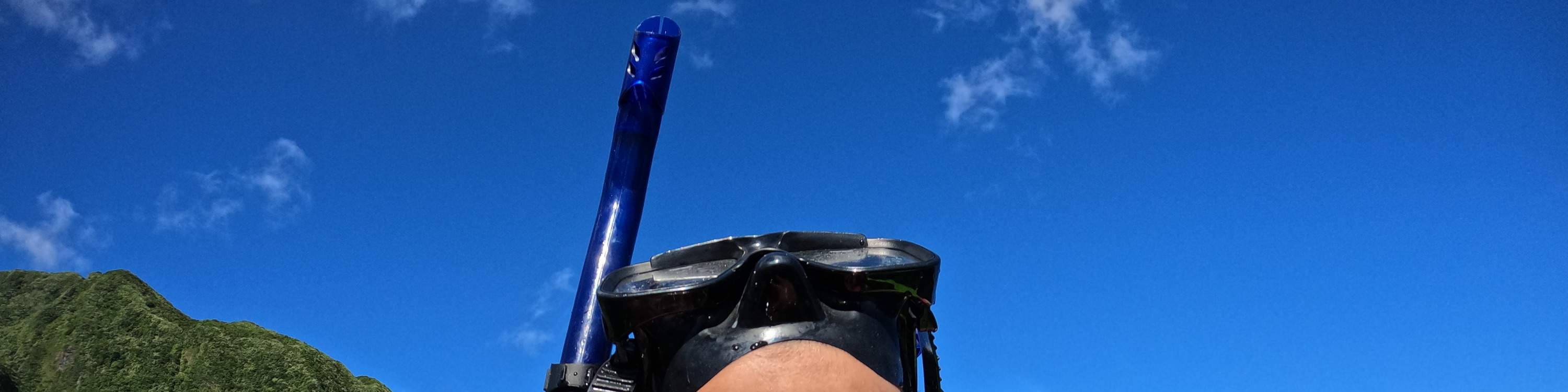 Kanak-kanak kecil bersnorkel