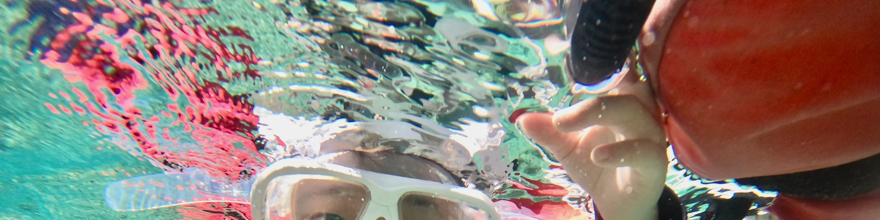 冲绳青之洞窟浮潜和潜水