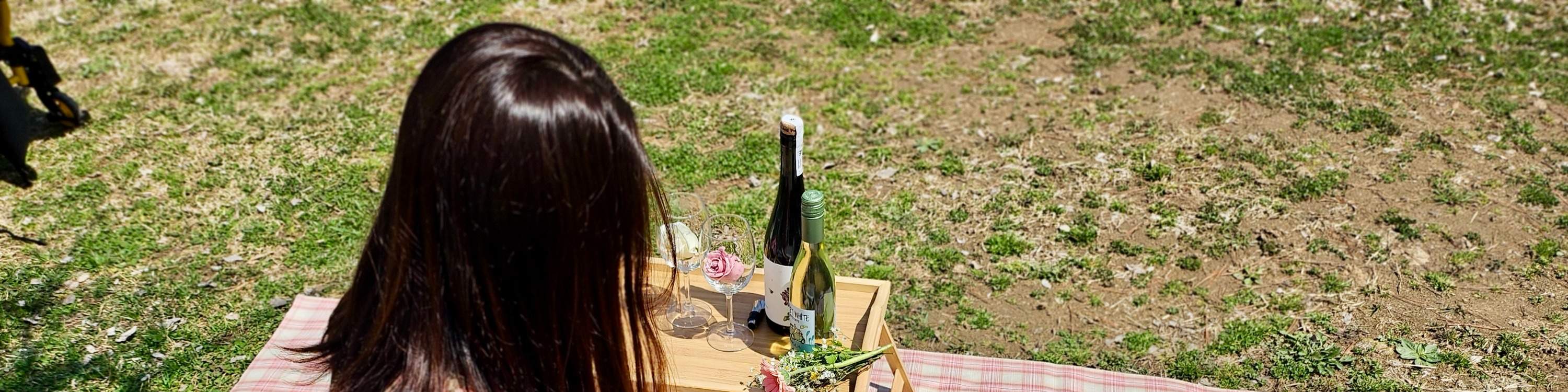 Picnic Equipment Rental Service at Han River in Seoul (Mangwon) Klook United States