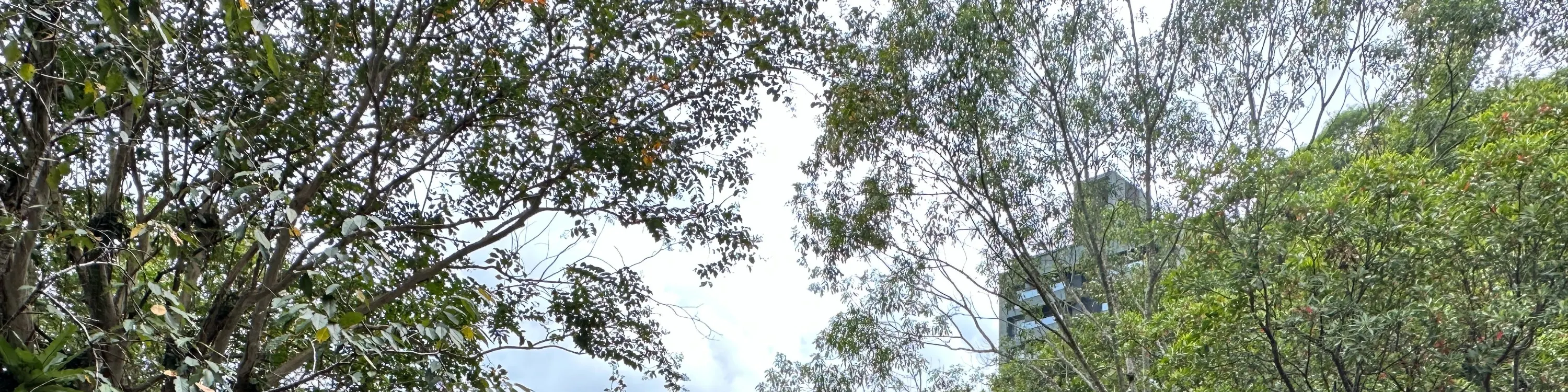 礁溪温泉公园森林风吕