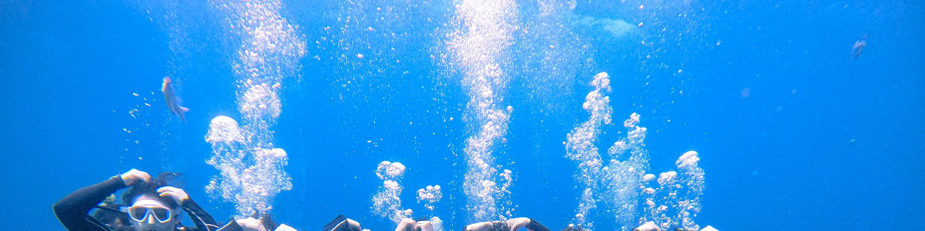绿岛海湾潜水