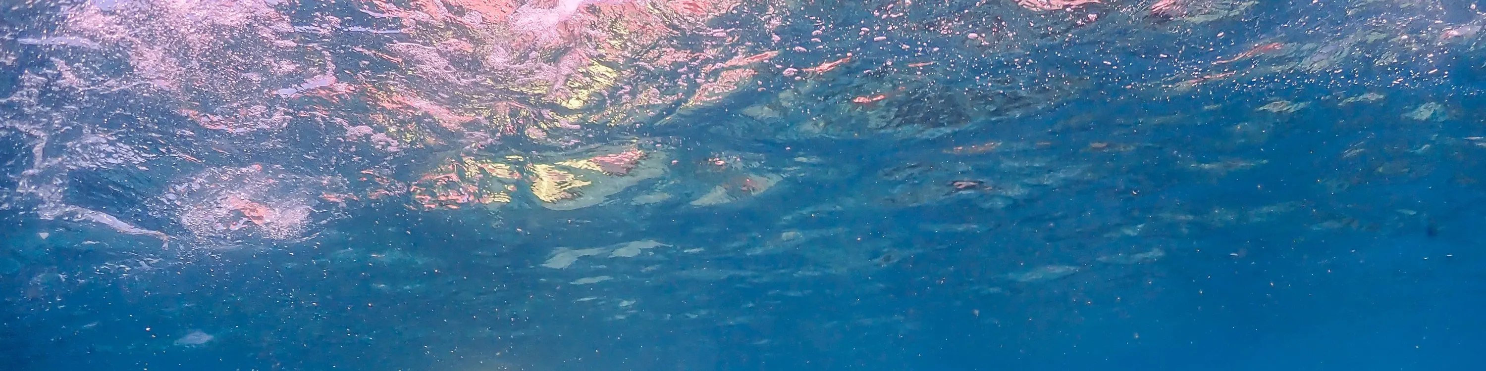 尼莫岛体验无人机照片和午餐