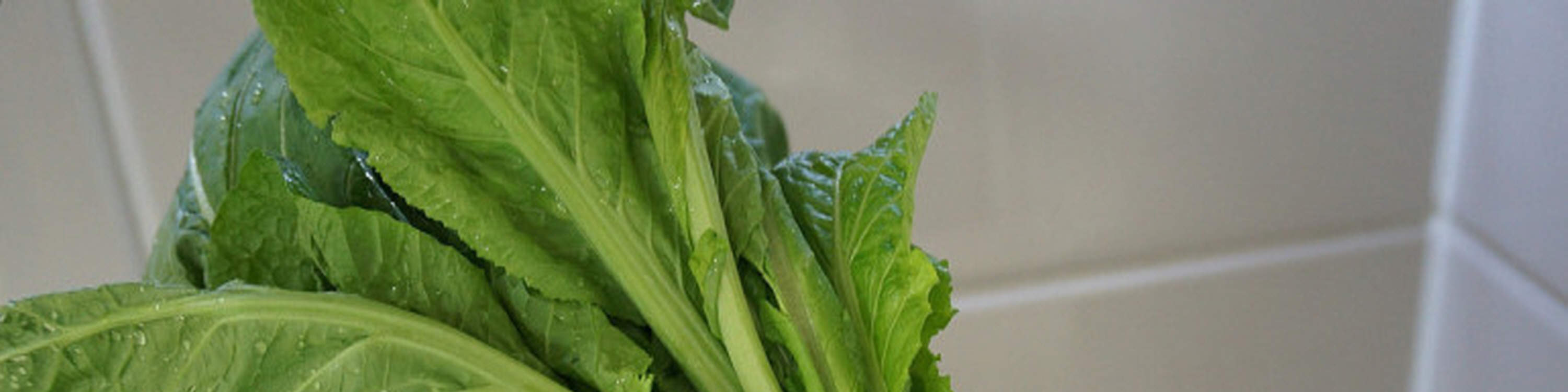 Kelas Memasak Kimchi Lobak Korea (Kkakdugi) di Busan