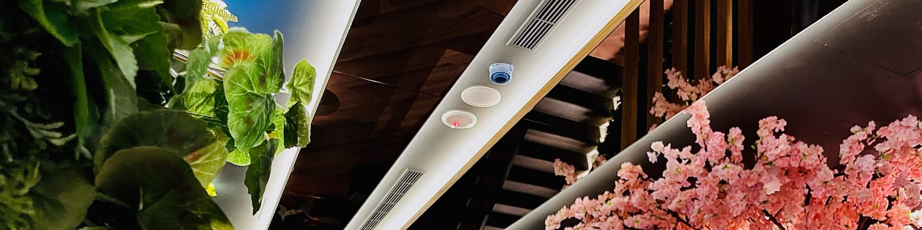 Массаж Dancing Finger в Тайбэе