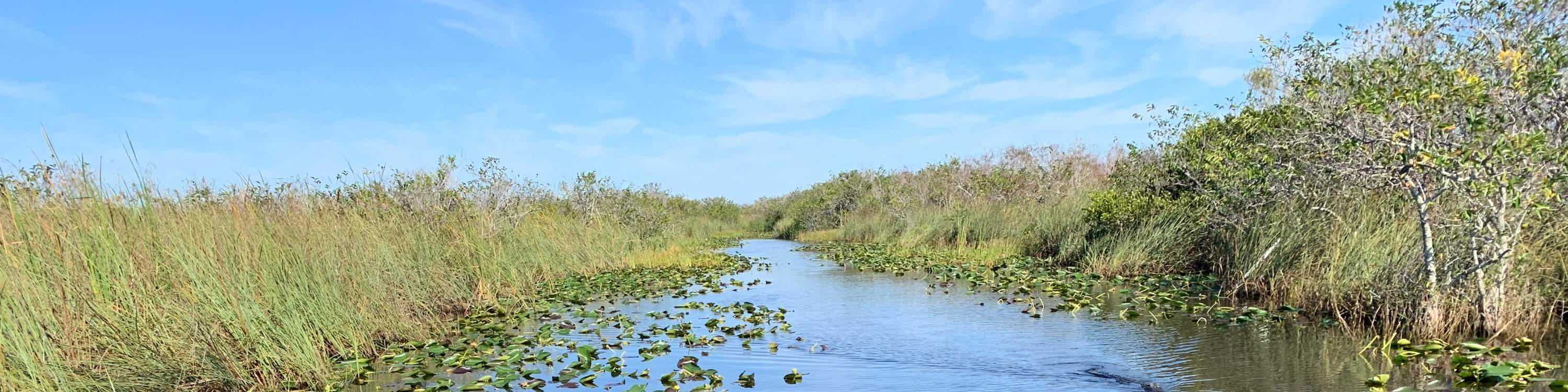 ประสบการณ์นั่งเรือแอร์โบ๊ทในเอเวอร์เกลดส์และชมจระเข้