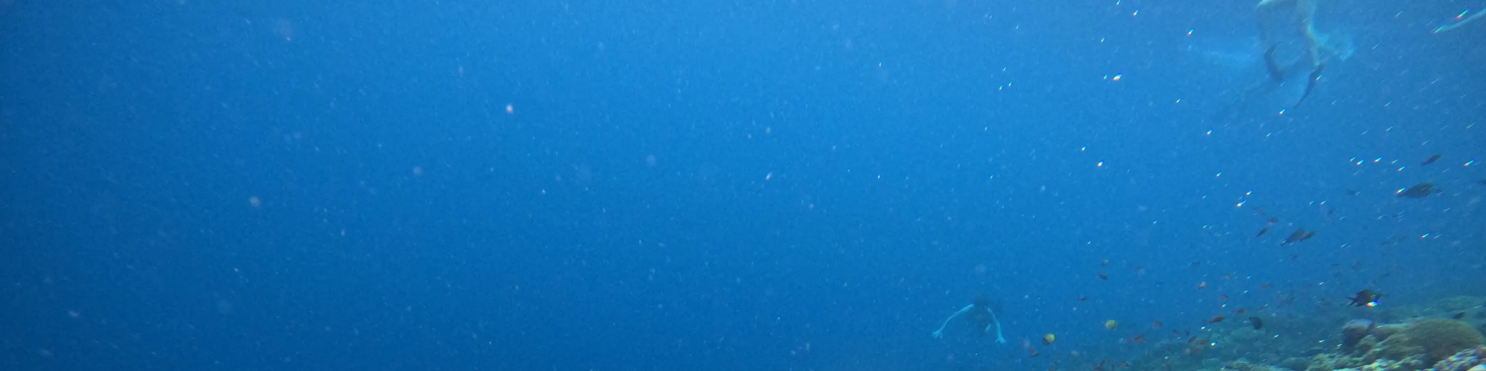 水下浮潜